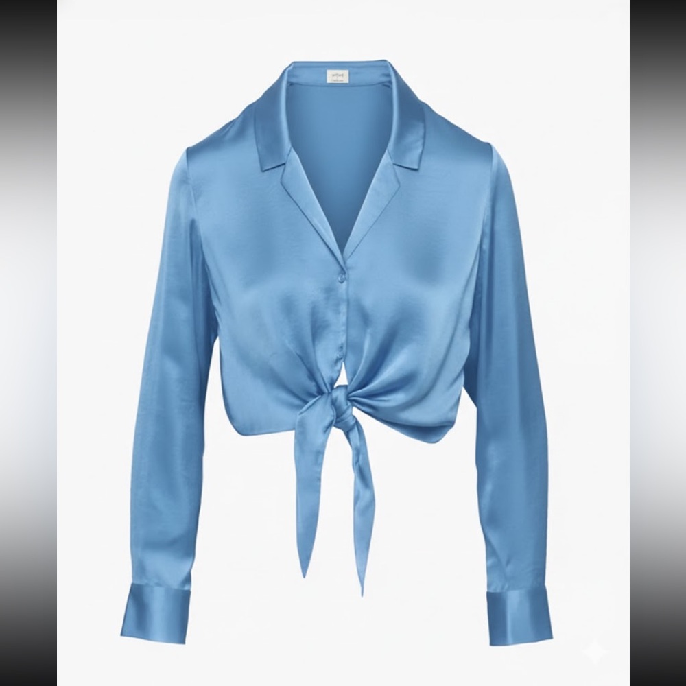 Wilfred Aritzia size XS Elegant Blue Satin Tie-Front Blouse